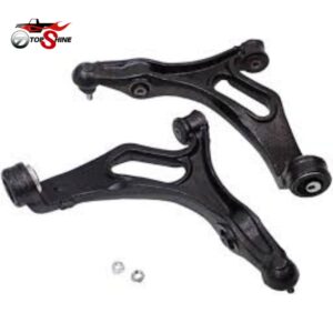 95534101730 OEM Suspension Control Arm Assembly for VW